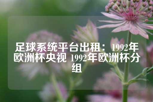 足球系统平台出租：1992年欧洲杯央视 1992年欧洲杯分组