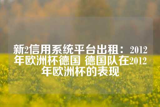 新2信用系统平台出租：2012年欧洲杯德国 德国队在2012年欧洲杯的表现