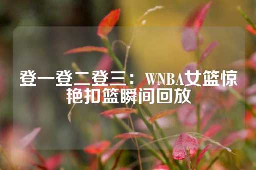 登一登二登三：WNBA女篮惊艳扣篮瞬间回放-第1张图片-皇冠信用盘出租