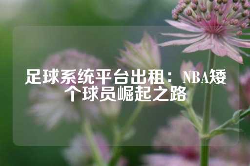 足球系统平台出租：NBA矮个球员崛起之路-第1张图片-皇冠信用盘出租