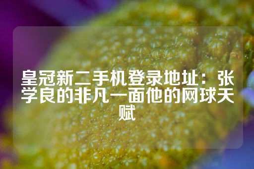 皇冠新二手机登录地址：张学良的非凡一面他的网球天赋-第1张图片-皇冠信用盘出租