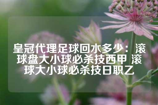 皇冠代理足球回水多少：滚球盘大小球必杀技西甲 滚球大小球必杀技日职乙-第1张图片-皇冠信用盘出租