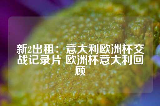 新2出租：意大利欧洲杯交战记录片 欧洲杯意大利回顾