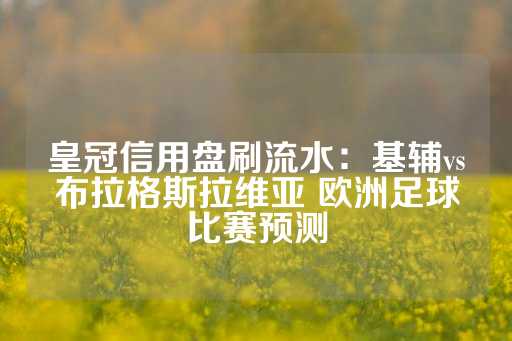 皇冠信用盘刷流水：基辅vs布拉格斯拉维亚 欧洲足球比赛预测-第1张图片-皇冠信用盘出租