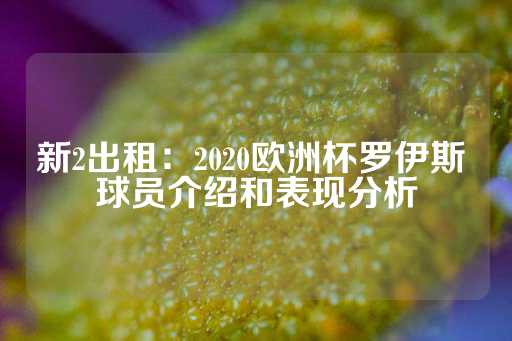 新2出租：2020欧洲杯罗伊斯 球员介绍和表现分析