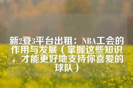 新2登3平台出租：NBA工会的作用与发展（掌握这些知识，才能更好地支持你喜爱的球队）