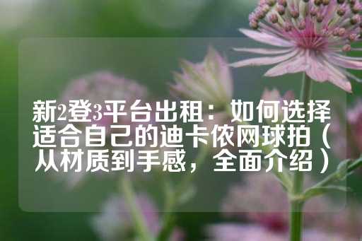 新2登3平台出租：如何选择适合自己的迪卡侬网球拍（从材质到手感，全面介绍）