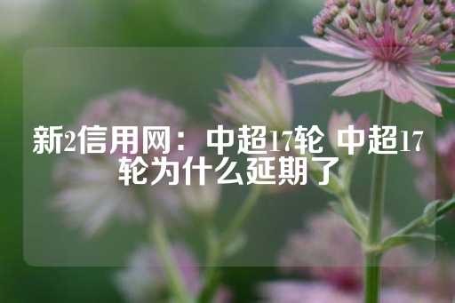 新2信用网：中超17轮 中超17轮为什么延期了-第1张图片-皇冠信用盘出租