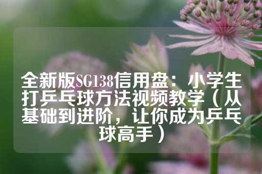 全新版SG138信用盘：小学生打乒乓球方法视频教学（从基础到进阶，让你成为乒乓球高手）