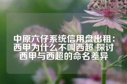 中原六仔系统信用盘出租：西甲为什么不叫西超 探讨西甲与西超的命名差异