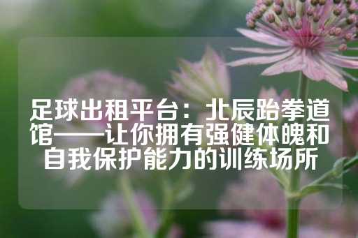 足球出租平台：北辰跆拳道馆——让你拥有强健体魄和自我保护能力的训练场所