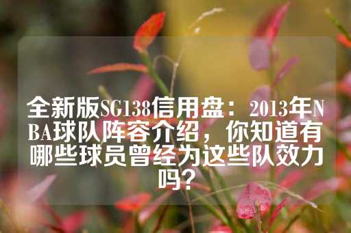 全新版SG138信用盘：2013年NBA球队阵容介绍，你知道有哪些球员曾经为这些队效力吗？