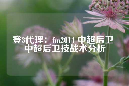 登3代理：fm2014 中超后卫 中超后卫技战术分析-第1张图片-皇冠信用盘出租