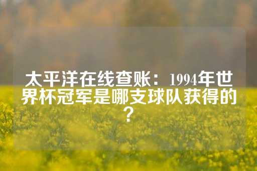 太平洋在线查账：1994年世界杯冠军是哪支球队获得的？