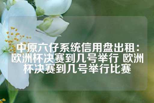 中原六仔系统信用盘出租：欧洲杯决赛到几号举行 欧洲杯决赛到几号举行比赛