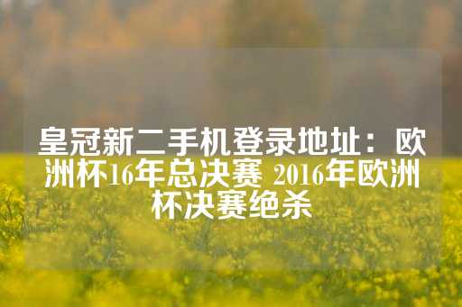 皇冠新二手机登录地址：欧洲杯16年总决赛 2016年欧洲杯决赛绝杀-第1张图片-皇冠信用盘出租