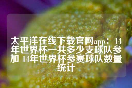 太平洋在线下载官网app：14年世界杯一共多少支球队参加 14年世界杯参赛球队数量统计