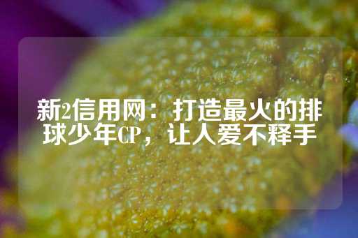 新2信用网：打造最火的排球少年CP，让人爱不释手