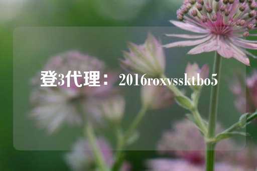 登3代理：2016roxvssktbo5