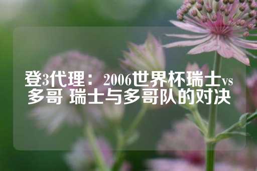 登3代理：2006世界杯瑞士vs多哥 瑞士与多哥队的对决