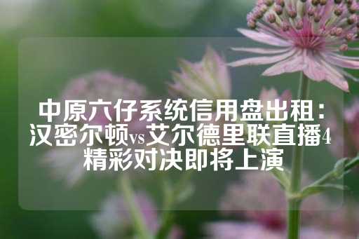 中原六仔系统信用盘出租：汉密尔顿vs艾尔德里联直播4 精彩对决即将上演-第1张图片-皇冠信用盘出租