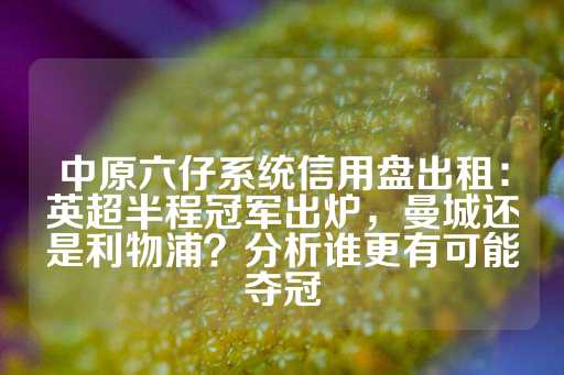 中原六仔系统信用盘出租：英超半程冠军出炉，曼城还是利物浦？分析谁更有可能夺冠