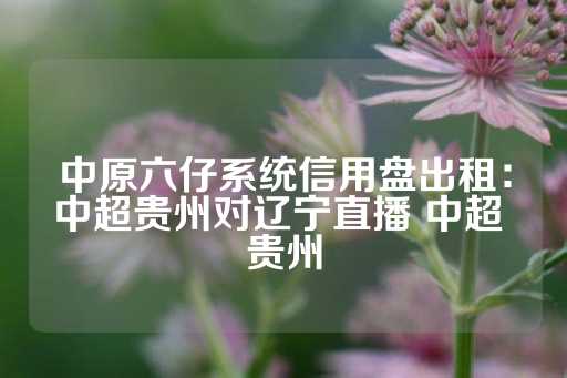 中原六仔系统信用盘出租：中超贵州对辽宁直播 中超 贵州