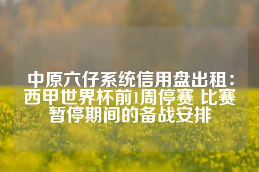 中原六仔系统信用盘出租：西甲世界杯前1周停赛 比赛暂停期间的备战安排