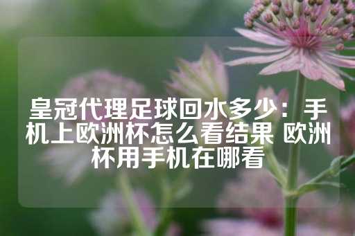 皇冠代理足球回水多少：手机上欧洲杯怎么看结果 欧洲杯用手机在哪看-第1张图片-皇冠信用盘出租