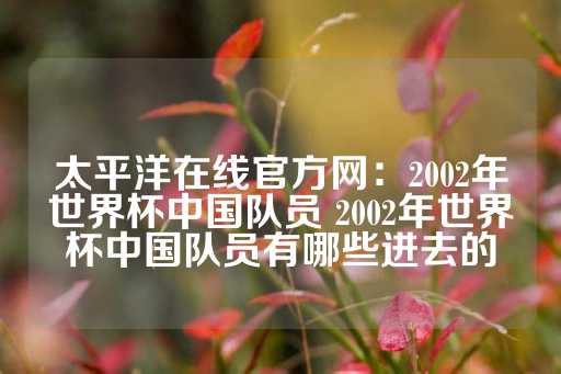 太平洋在线官方网：2002年世界杯中国队员 2002年世界杯中国队员有哪些进去的