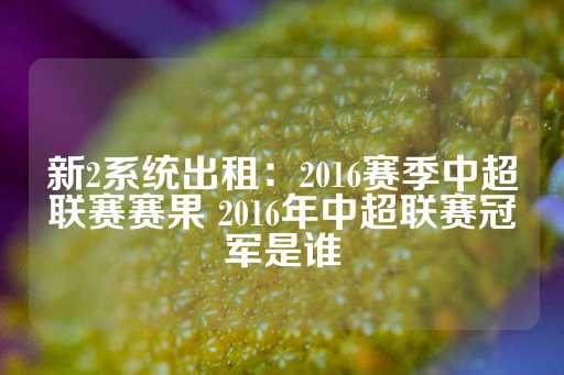 新2系统出租：2016赛季中超联赛赛果 2016年中超联赛冠军是谁-第1张图片-皇冠信用盘出租