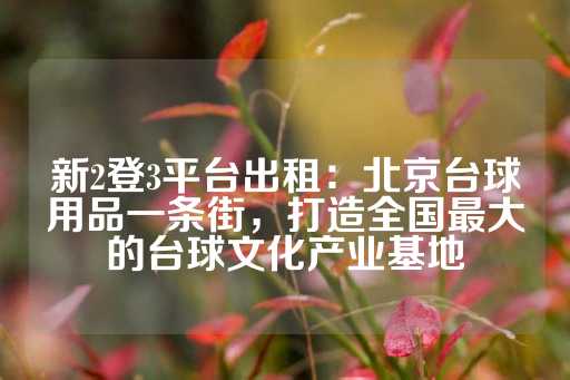 新2登3平台出租：北京台球用品一条街，打造全国最大的台球文化产业基地