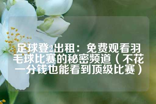 足球登2出租：免费观看羽毛球比赛的秘密频道（不花一分钱也能看到顶级比赛）