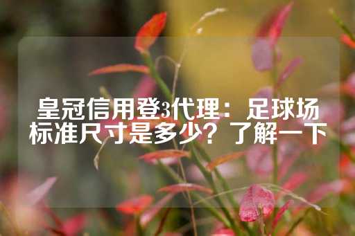 皇冠信用登3代理：足球场标准尺寸是多少？了解一下