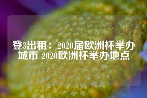 登3出租：2020届欧洲杯举办城市 2020欧洲杯举办地点-第1张图片-皇冠信用盘出租