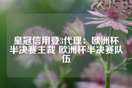 皇冠信用登3代理：欧洲杯半决赛主裁 欧洲杯半决赛队伍-第1张图片-皇冠信用盘出租