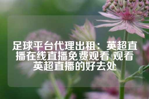 足球平台代理出租：英超直播在线直播免费观看 观看英超直播的好去处-第1张图片-皇冠信用盘出租