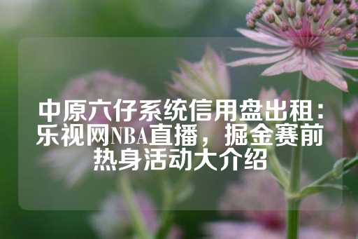 中原六仔系统信用盘出租：乐视网NBA直播，掘金赛前热身活动大介绍