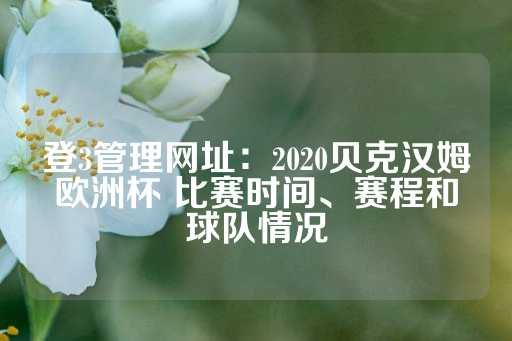 登3管理网址：2020贝克汉姆欧洲杯 比赛时间、赛程和球队情况