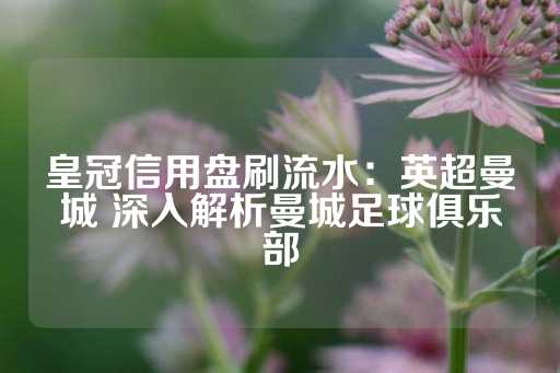 皇冠信用盘刷流水：英超曼城 深入解析曼城足球俱乐部