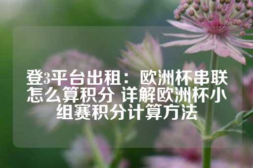 登3平台出租：欧洲杯串联怎么算积分 详解欧洲杯小组赛积分计算方法-第1张图片-皇冠信用盘出租