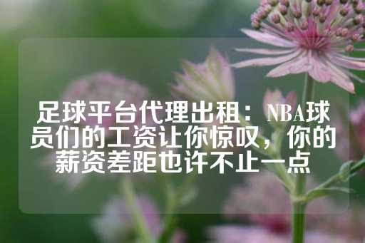 足球平台代理出租：NBA球员们的工资让你惊叹，你的薪资差距也许不止一点