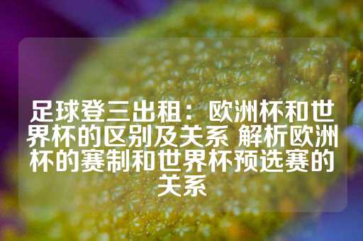 足球登三出租：欧洲杯和世界杯的区别及关系 解析欧洲杯的赛制和世界杯预选赛的关系