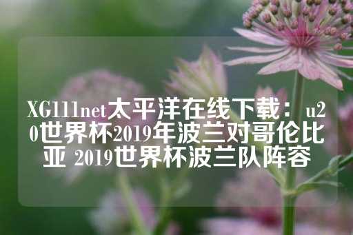 XG111net太平洋在线下载：u20世界杯2019年波兰对哥伦比亚 2019世界杯波兰队阵容-第1张图片-皇冠信用盘出租