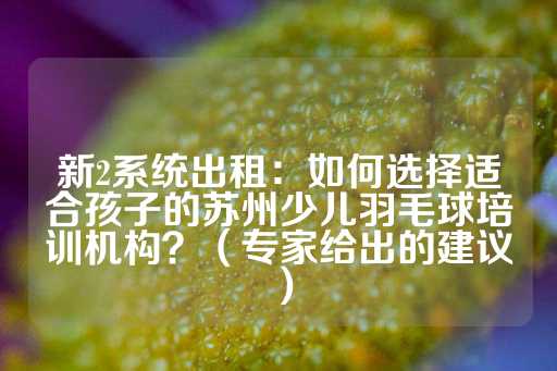 新2系统出租：如何选择适合孩子的苏州少儿羽毛球培训机构？（专家给出的建议）