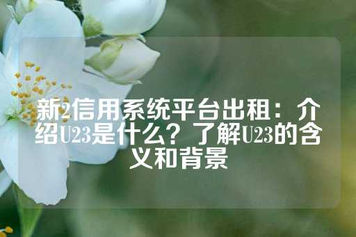 新2信用系统平台出租：介绍U23是什么？了解U23的含义和背景