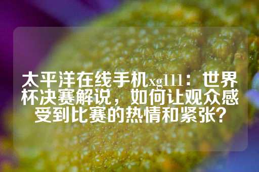 太平洋在线手机xg111：世界杯决赛解说，如何让观众感受到比赛的热情和紧张？