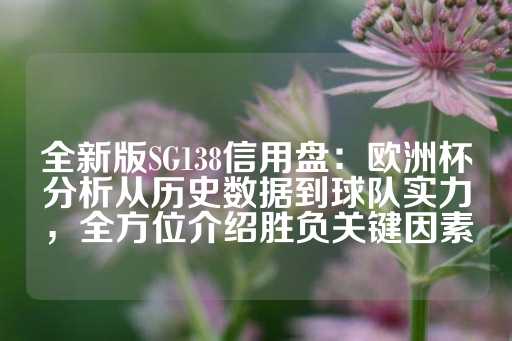 全新版SG138信用盘：欧洲杯分析从历史数据到球队实力，全方位介绍胜负关键因素