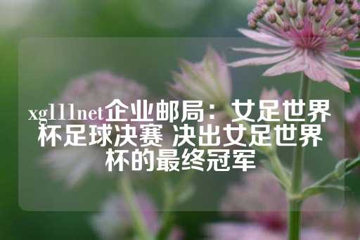 xg111net企业邮局：女足世界杯足球决赛 决出女足世界杯的最终冠军