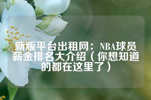 新版平台出租网：NBA球员薪金排名大介绍（你想知道的都在这里了）